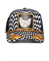 WINNER GALLINA - DISPONIBLE NUEVA COLECCION